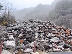 -陕西省红河谷森林公园
