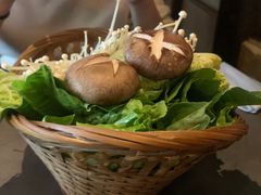 -同仁四季椰子鸡(宝安壹方城店)