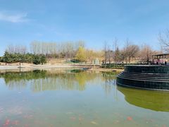 -大望京公园