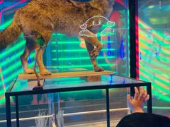 -凯德广场(武胜路店)