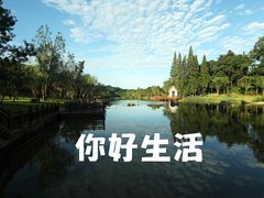 -常德桃花源景区