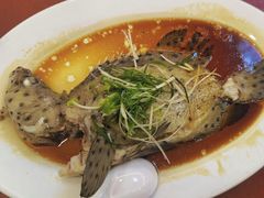 -新金盛·海鲜酒楼(盐田店)