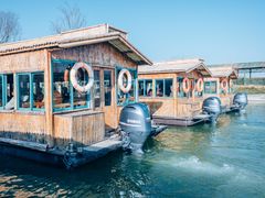 -泗洪洪泽湖湿地景区