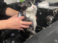 -萌小它宠物健康管理中心(怡海家园店)