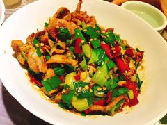 -壹盏灯(惠农店)