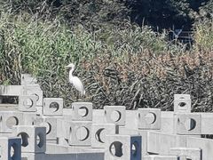 -厦门园林博览苑