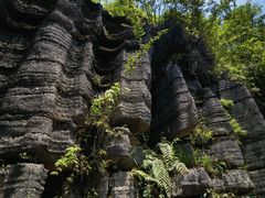 -梭布垭石林景区