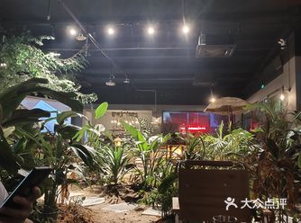 室内露营风 感觉更适合和几个好朋友喝酒聊天