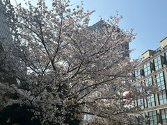 -牛腩之旅·牛腩牛杂煲(光启城美食城店)