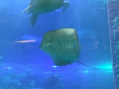 -洛阳龙门海洋馆