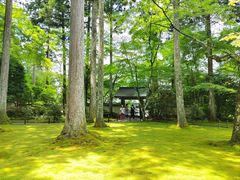 -三千院