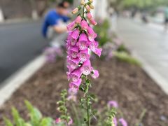 -北山街历史文化街区