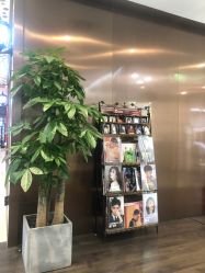 -崇尚GAVIN STYLE臻选