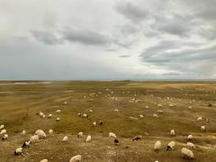 -青海湖国家重点风景名胜区