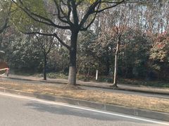 -胜华驾校·小猫学车(银都店)