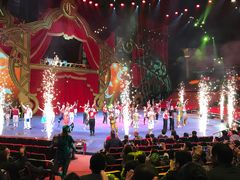 -珠海横琴长隆《卡卡虎奇遇记》