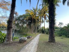 -中国科学院西双版纳热带植物园