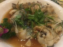-鹤乡东北菜(崮山路店)