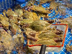 -驻海渔市(置信店)