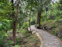 -阳台山自然风景区