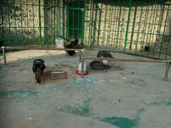 -九鼎铁刹山风景区