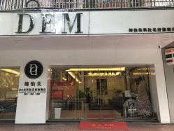 -DEM缔怡美科技美容