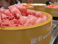 -龍歌自助小火锅(秦淮水游城店)