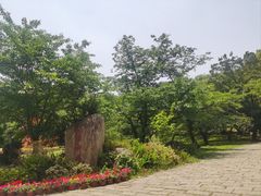 -苏州上方山国家森林公园