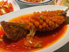 -院8里·小聚园老川菜(九眼桥店)