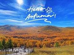 -莫尔道嘎国家森林公园