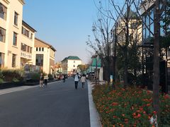 -湘湖金融镇