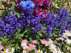 -八角街道·八角南路社区