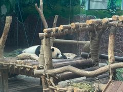 -黔灵山公园