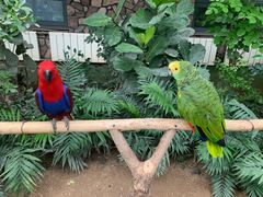 -南宫五洲植物乐园