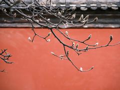-妙应寺白塔