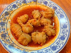 麻辣肠结-爆炸头阿姨小四川正宗川味小吃(无任何分店)