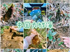 -中国大竹海景区