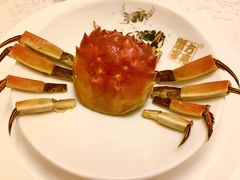 -新光酒家·河豚·海鲜·蟹料理(浦东店)