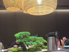 -阿露佳·舌尖上的安吉菜