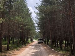 -塞罕坝国家级自然保护区