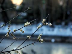-丰台花园