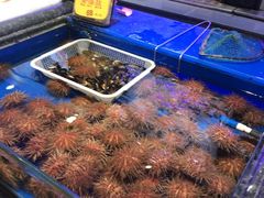 -万宝海鲜舫(劳动公园店)