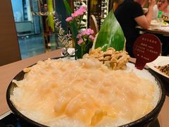 象拔蚌-協成海鮮火鍋(老店)