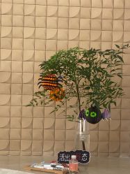 点击看大图 -BR光电保养