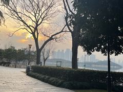 -月湖风景区