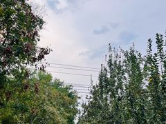 -元大都城垣遗址公园