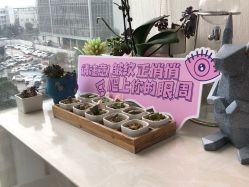 -杭州医巢医疗美容