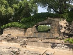 -团结湖公园