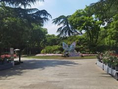 -大关公园
