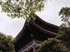 -西安大兴善寺